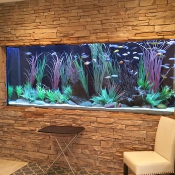 Clearwater Aquariums - Aquarium Services Near Me Clearwater Aquariums - Aquarium Services Near Me