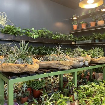 Chlorophyll by Kinghorn Gardens - Beautiful and creative planters - Nurseries & Gardening Near Me - Omaha, Nebraska