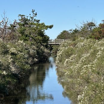 Winnetu Oceanside Resort - Walk to ocean - Hotels Near Me - Edgartown, Massachusetts