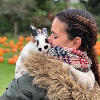 North Bergen Pet Sitter - Dog Walkers Near Me North Bergen Pet Sitter - Dog Walkers Near Me
