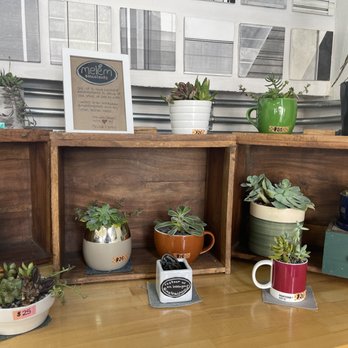 Snow White Coffee - Plants for sale!! Love it - Coffee & Tea Near Me - Oakland, California Snow White Coffee - Plants for sale!! Love it - Coffee & Tea Near Me - Oakland, California