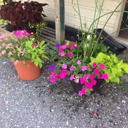 Reed's Greenhouse