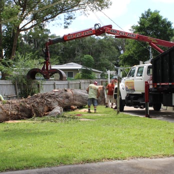 1888CleanUp - Tree Services Near Me