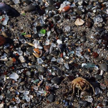 Glass Beach - Different color and shape glass...and a little crab that passed on. - Beaches Near Me Glass Beach - Different color and shape glass...and a little crab that passed on. - Beaches Near Me