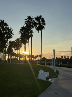 ShoreLine Aquatic Park by null