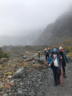 Franz Josef Glacier Guides by null