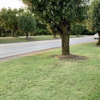 Nmcr - Tree trimming - Lawn Services Near Me Nmcr - Tree trimming - Lawn Services Near Me