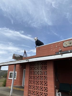 Auction Yard Café by null