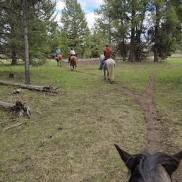 Trail ride thru the trees and creeks
