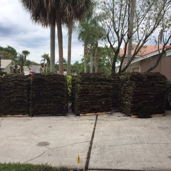 Cds landscaping - Landscaping Near Me - Saint Petersburg, Florida