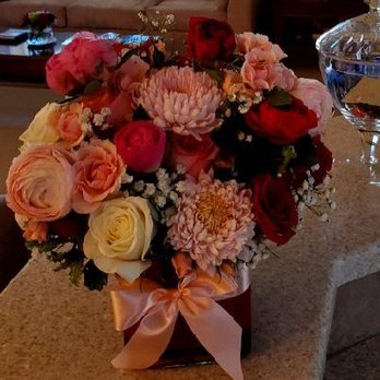 Venetian Flowers - Florists Near Me - Venice, Florida Venetian Flowers - Florists Near Me - Venice, Florida