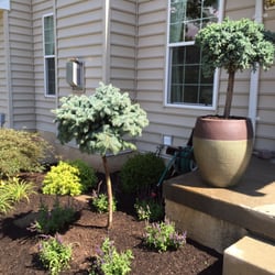 Tammaro Landscape and Design