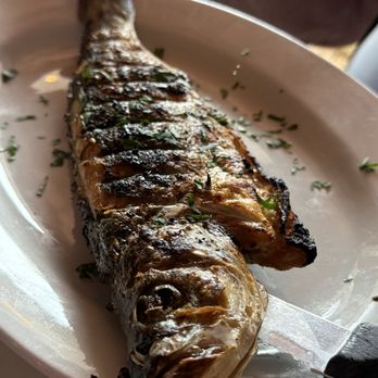 Meze - Greek Near Me - Brooklyn, New York