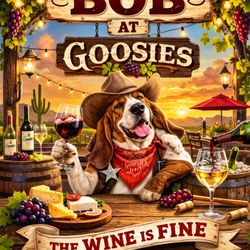 Goosies Wine Shop