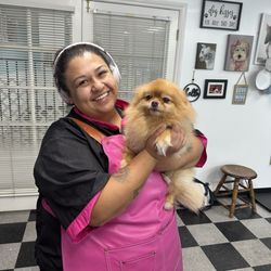 Dog House Studio City - Figi always happy with Jasmine