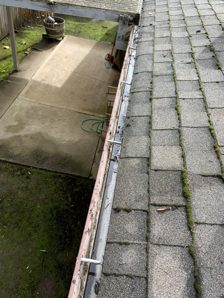 SQUEEGEE BROS WINDOW CLEANING Updated July 2024 2205 Burlington St