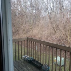 Orchard Apartments - My backyard.
