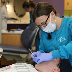 Maple Orthodontics