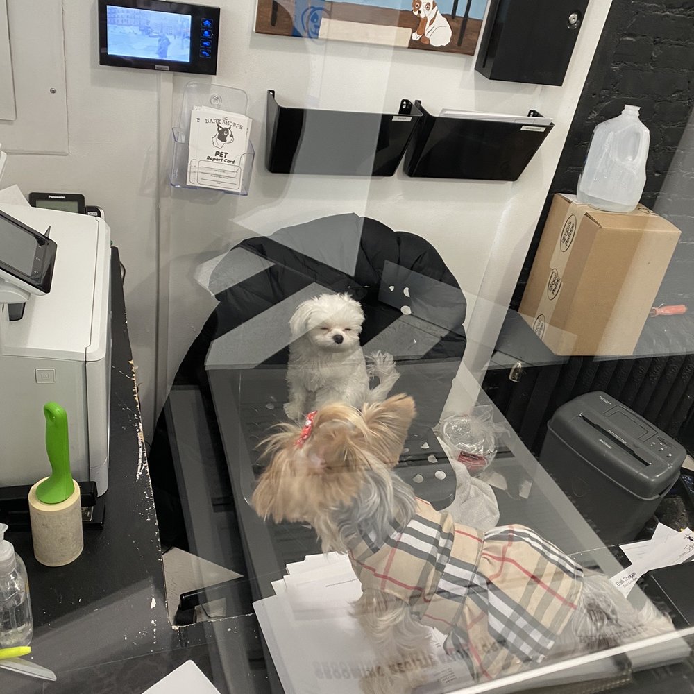 The Bark Shoppe - HORRIBLE CUSTOMER SERVICE! - Pet Groomers Near Me - New York, New York The Bark Shoppe - HORRIBLE CUSTOMER SERVICE! - Pet Groomers Near Me - New York, New York