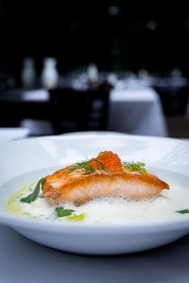 The Mountain House by null