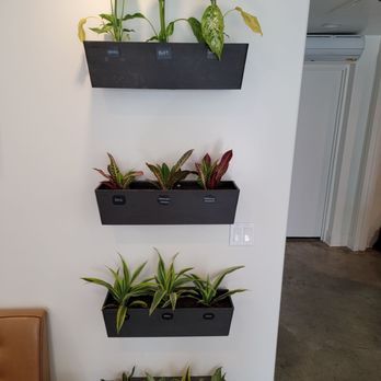 Kind Grounds - plant groundkeeper residents - Coffee & Tea Near Me - Los Angeles, California