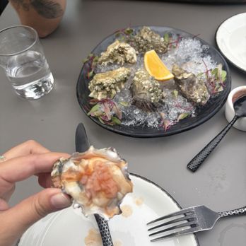 Shelby's Rooftop Lounge - Oysters - Lounges Near Me - San Francisco, California Shelby's Rooftop Lounge - Oysters - Lounges Near Me - San Francisco, California