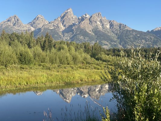 Jackson Hole EcoTour Adventures by null