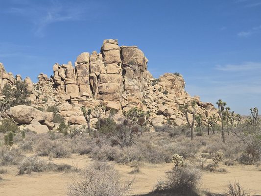 Joshua Tree National Park Visitor Center by null