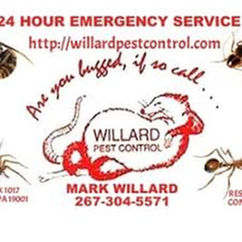 Willard Pest Control - untitled - Pest Control Near Me Willard Pest Control - untitled - Pest Control Near Me