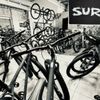 303 Bike Shop gift card