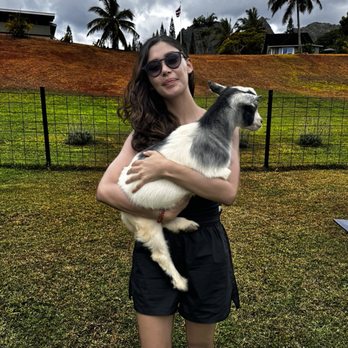 808 Goat Yoga - Yoga Near Me - Kilauea, Hawaii