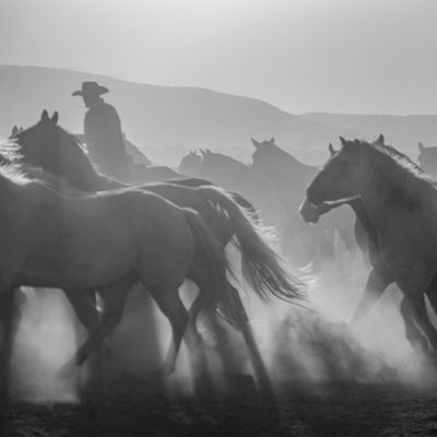Boot Barn by null