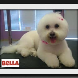 Furry Tails Pet Grooming 2