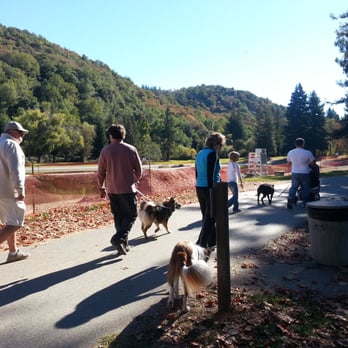 John Earle Dog Training - Rehabilitated dog aggressive social/advanced group outing. - Pet Training Near Me John Earle Dog Training - Rehabilitated dog aggressive social/advanced group outing. - Pet Training Near Me