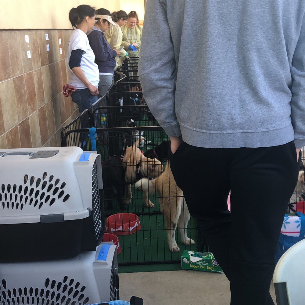 PetSmart - Pet Stores Near Me - Vienna, Virginia PetSmart - Pet Stores Near Me - Vienna, Virginia