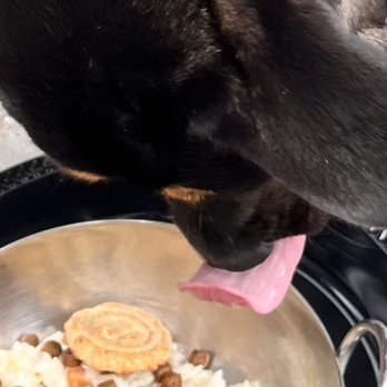 Nonnina - Molly enjoyed her burger and rice. - Italian Near Me - Chicago, Illinois