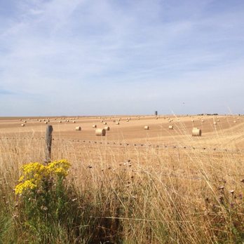 Stonehenge - Rolled up hay, kinda alien looking - Landmarks & Historical Buildings Near Me - Amesbury, WIL Stonehenge - Rolled up hay, kinda alien looking - Landmarks & Historical Buildings Near Me - Amesbury, WIL