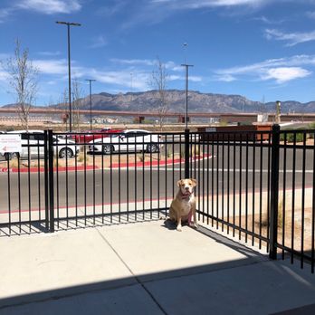 Restoration Pizza - Patio area, dog friendly  lunch with my Lilah. - Pizza Near Me - Albuquerque, New Mexico
