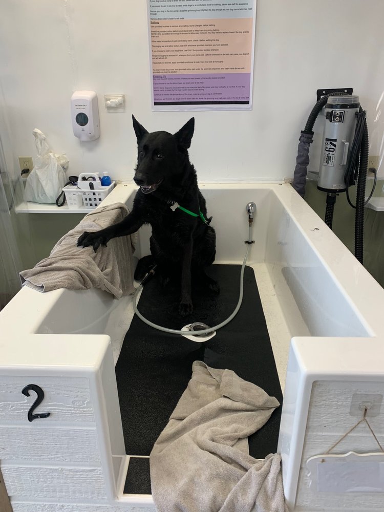 THE DOGGY SELF WASH 13 Photos & 16 Reviews 3855 Avocado Blvd, La Mesa, California Pet