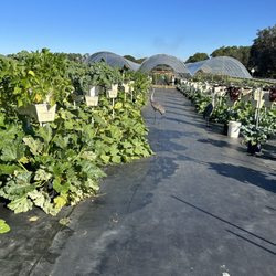 Vo-LaSalle Farms