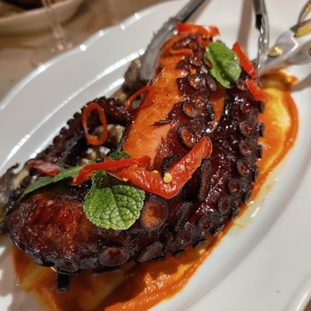 Piano Piano - Octopus - Italian Near Me - Toronto, Ontario Piano Piano - Octopus - Italian Near Me - Toronto, Ontario