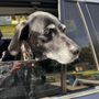 Photo of Sunriver Veterinary Clinic