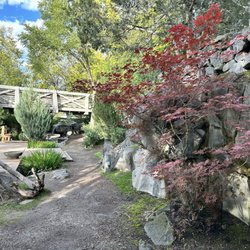 Japanese Friendship Garden