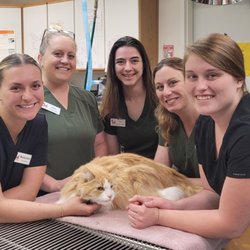 Kalamazoo Animal Hospital - We look forward to seeing you and your pet!