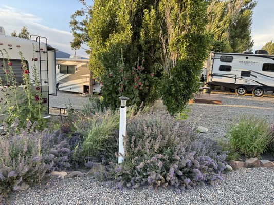 Paradise Shores RV Camp by null