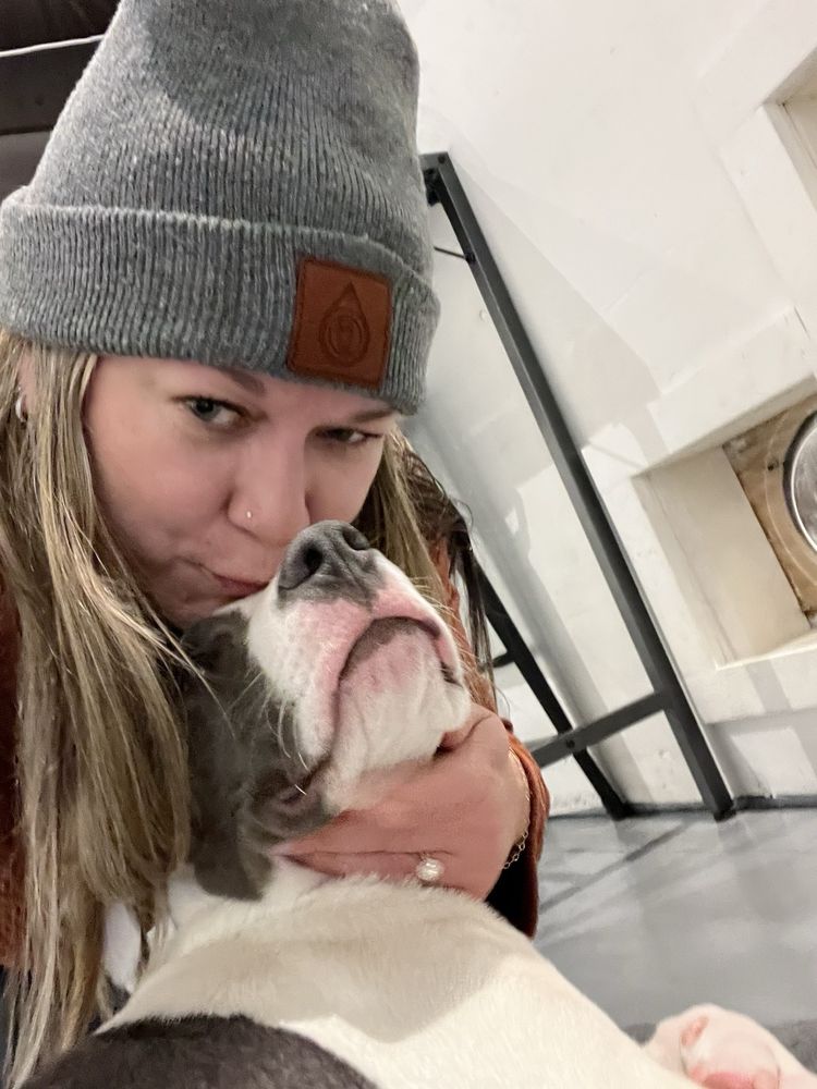 Are You My Human Dog Rescue Image