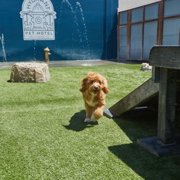 Exterior photo of Hydrant Pet Hotel - Costa Mesa, California Exterior photo of Hydrant Pet Hotel - Costa Mesa, California