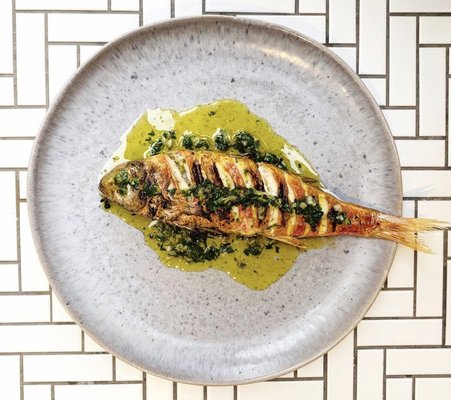 Alma Cafe by null Alma Cafe by null