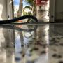 Terrazzo Artisans