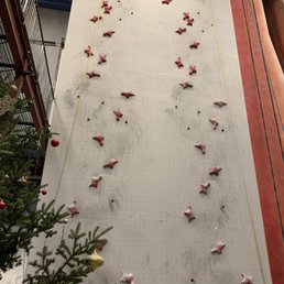Speed Wall Speed Wall